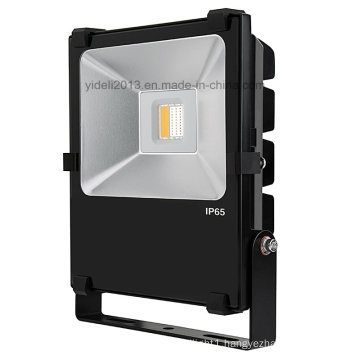 New 30 Watt RGBW Ww LED Floodlight Fixture - Wi-Fi Compatible - with Remote